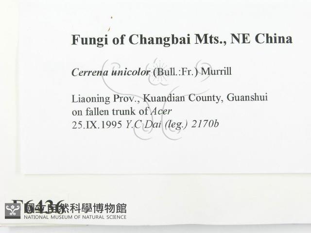 登錄號:F0006436藏品圖，第2張