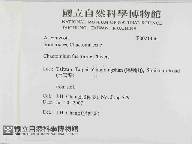 登錄號:F0021436藏品圖，第2張