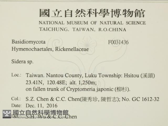登錄號:F0031436藏品圖，第2張