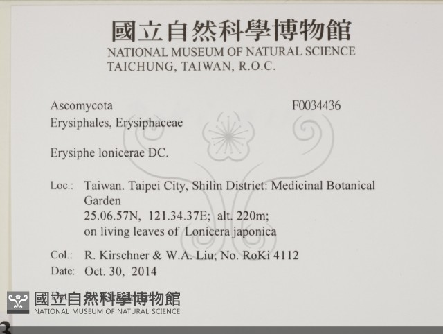 登錄號:F0034436藏品圖，第2張