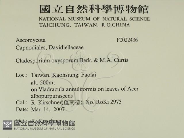 登錄號:F0022436藏品圖，第2張