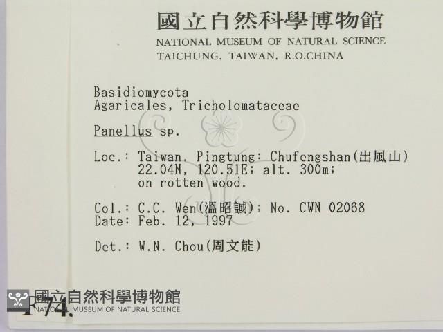 登錄號:F0007436藏品圖，第2張