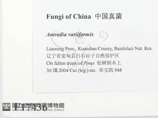 登錄號:F0017436藏品圖，第2張