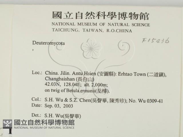 登錄號:F0015436藏品圖，第2張