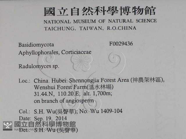 登錄號:F0029436藏品圖，第2張