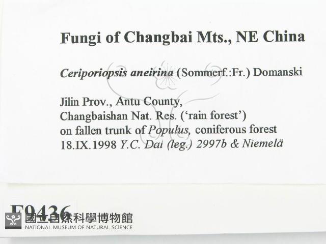 登錄號:F0009436藏品圖，第2張