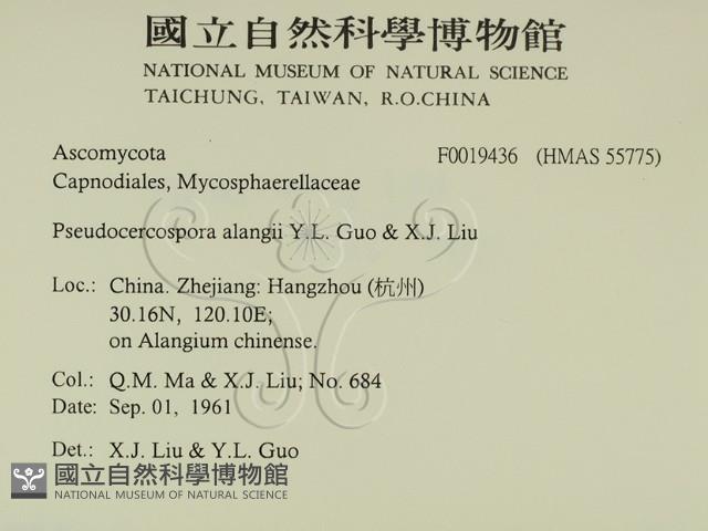 登錄號:F0019436藏品圖，第2張