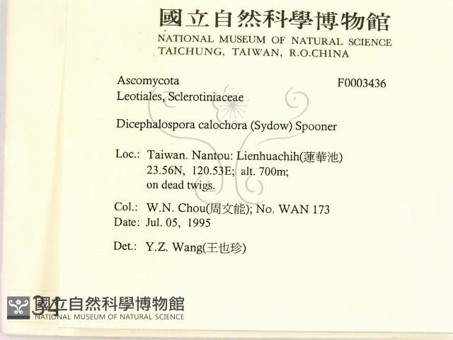 登錄號:F0003436藏品圖，第2張