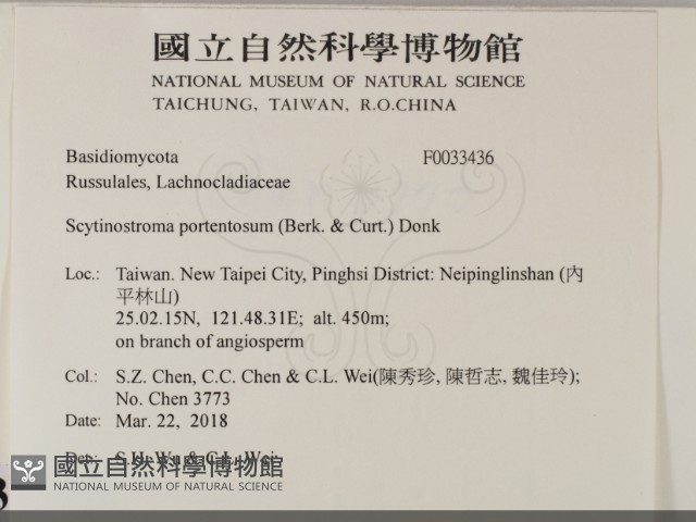 登錄號:F0033436藏品圖，第2張