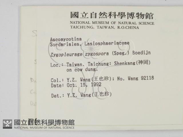 登錄號:F0000736藏品圖，第2張