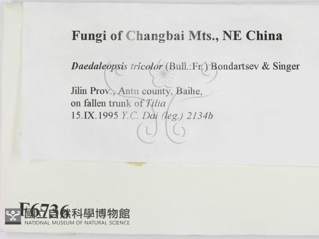 登錄號:F0006736藏品圖，第2張