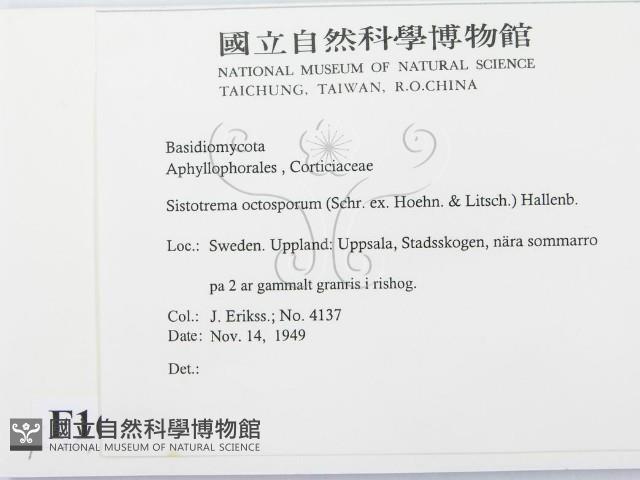 登錄號:F0016736藏品圖，第2張