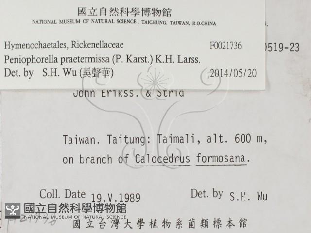 登錄號:F0021736藏品圖，第2張