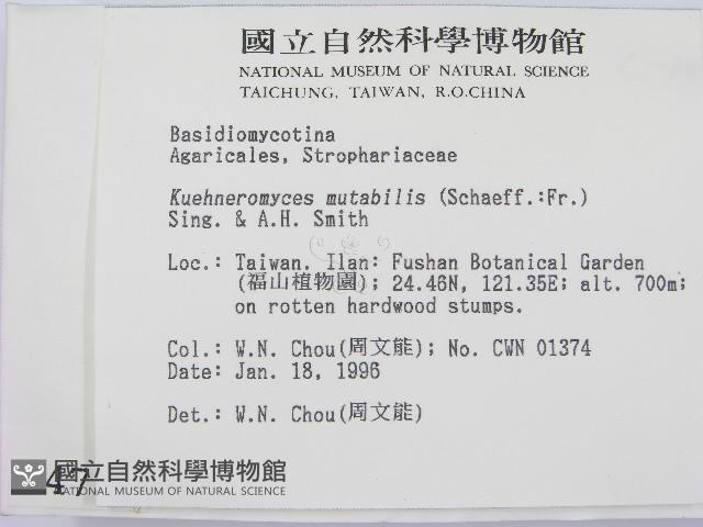 登錄號:F0004736藏品圖，第2張