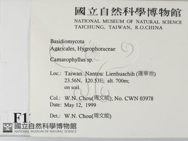 登錄號:F0012736藏品圖，第2張