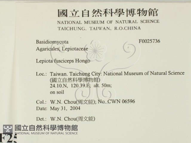 登錄號:F0025736藏品圖，第2張