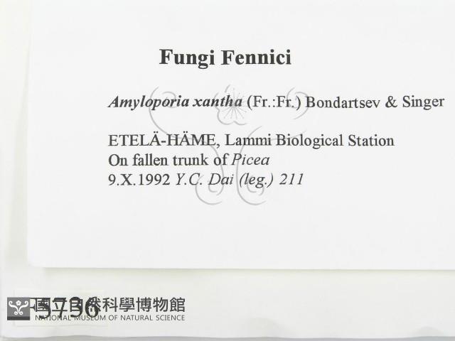 登錄號:F0005736藏品圖，第2張