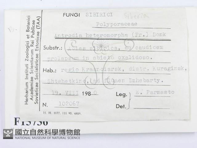 登錄號:F0015736藏品圖，第2張