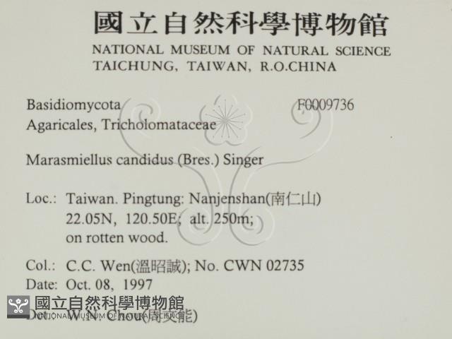 登錄號:F0009736藏品圖，第2張