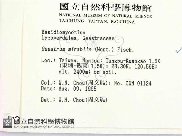 登錄號:F0003736藏品圖，第2張