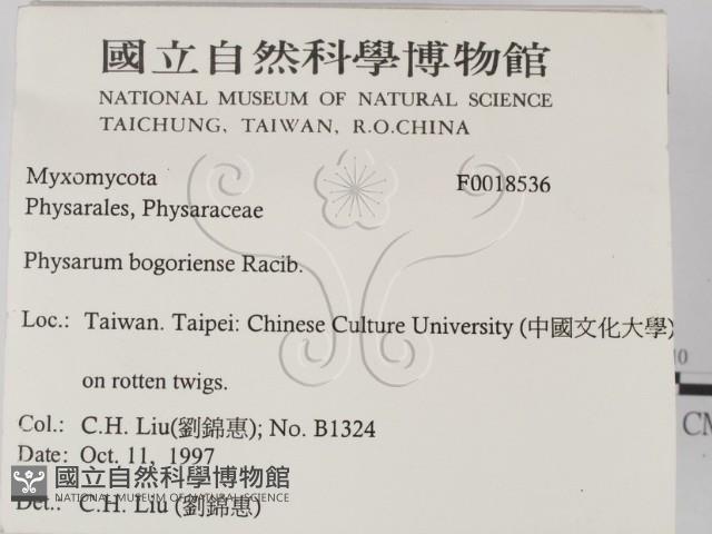 登錄號:F0018536藏品圖，第2張