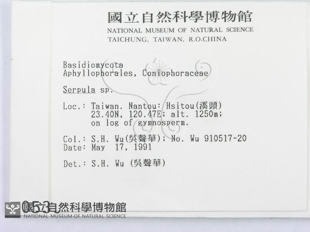 登錄號:F0000536藏品圖，第2張