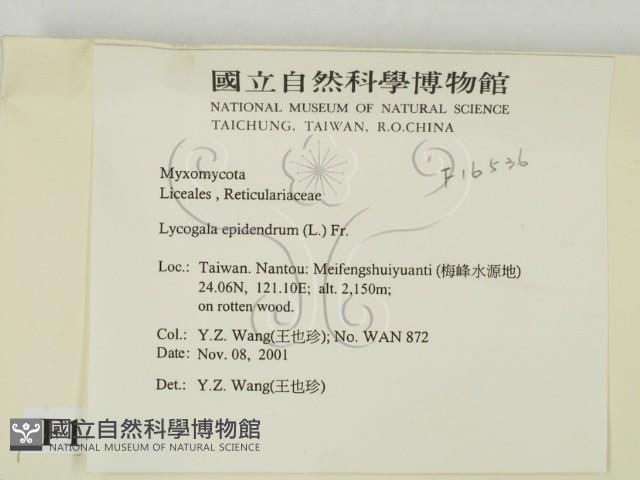 登錄號:F0016536藏品圖，第2張