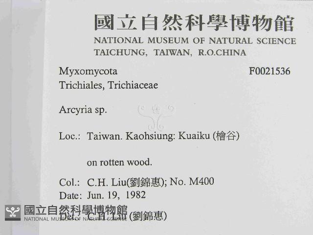 登錄號:F0021536藏品圖，第2張