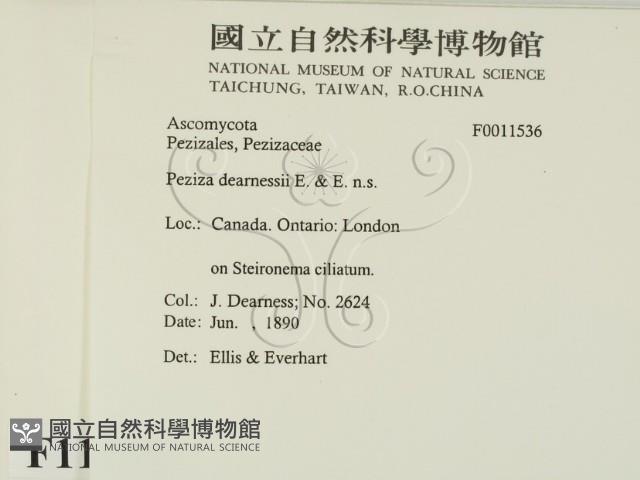 登錄號:F0011536藏品圖，第2張