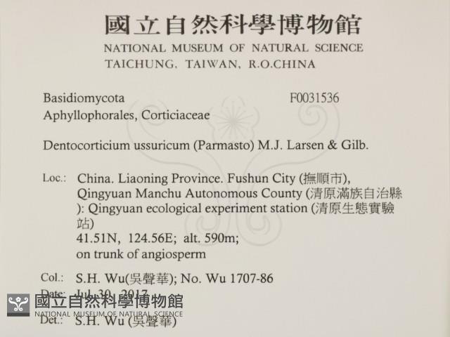 登錄號:F0031536藏品圖，第2張