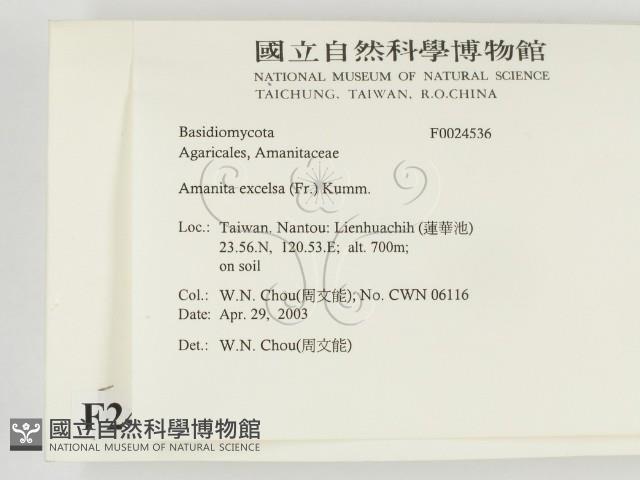 登錄號:F0024536藏品圖，第2張