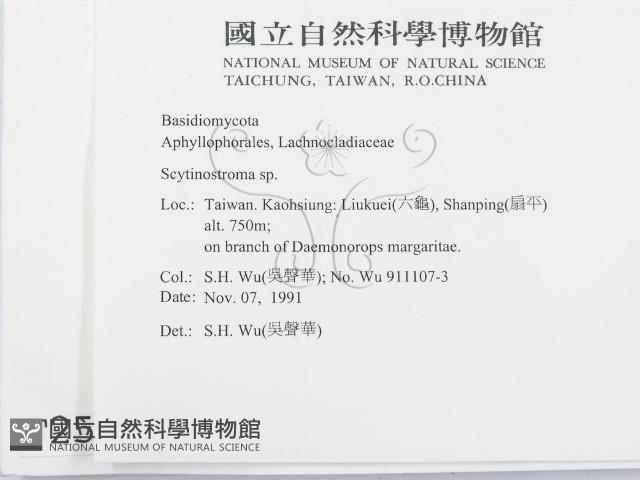 登錄號:F0002536藏品圖，第2張