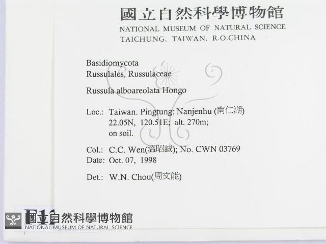 登錄號:F0012536藏品圖，第2張