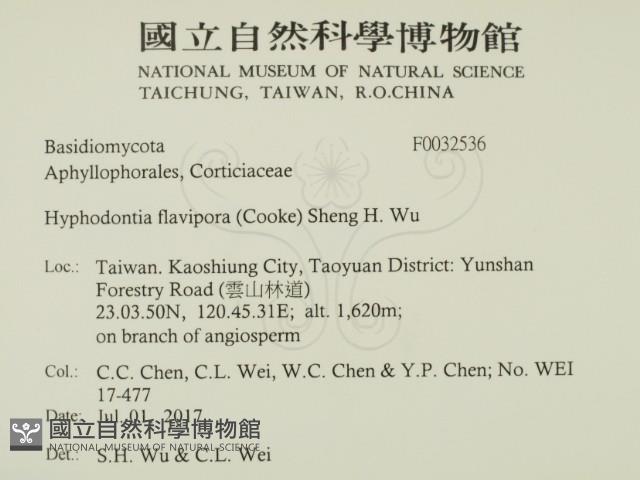 登錄號:F0032536藏品圖，第2張