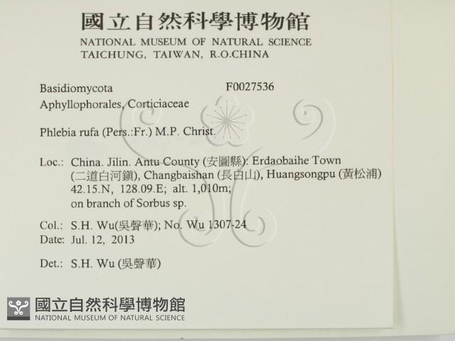 登錄號:F0027536藏品圖，第2張