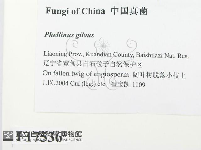 登錄號:F0017536藏品圖，第2張
