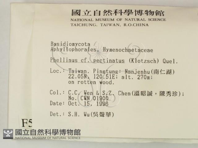 登錄號:F0005536藏品圖，第2張