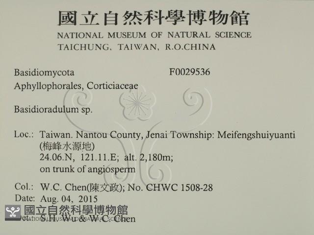 登錄號:F0029536藏品圖，第2張