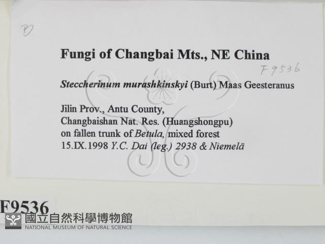 登錄號:F0009536藏品圖，第2張