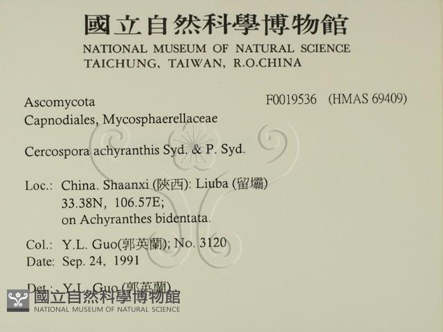 登錄號:F0019536藏品圖，第2張