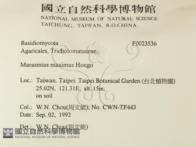 登錄號:F0023536藏品圖，第2張