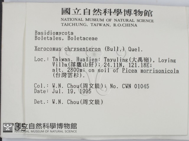 登錄號:F0003536藏品圖，第2張