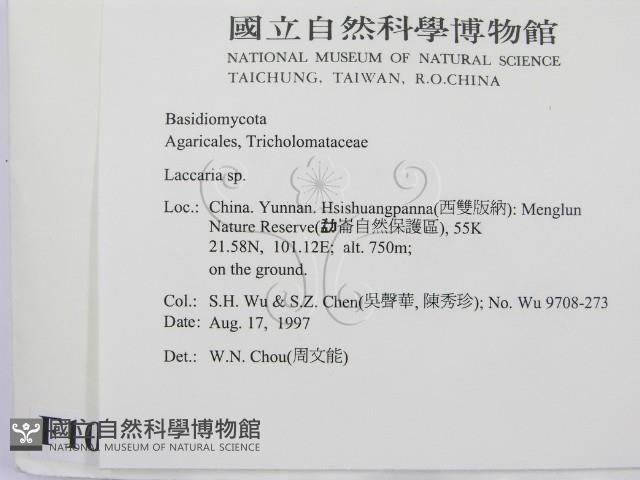 登錄號:F0010136藏品圖，第2張