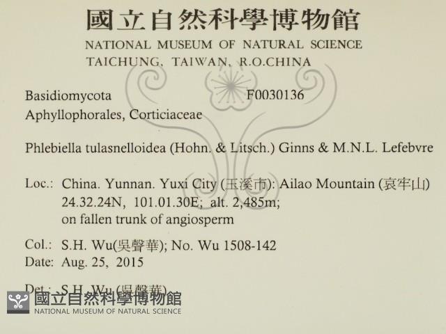 登錄號:F0030136藏品圖，第2張