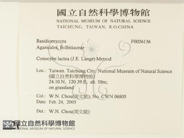 登錄號:F0026136藏品圖，第2張