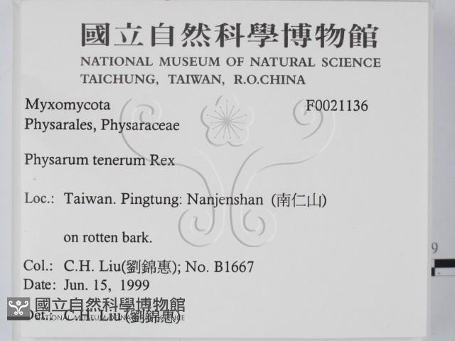 登錄號:F0021136藏品圖，第2張