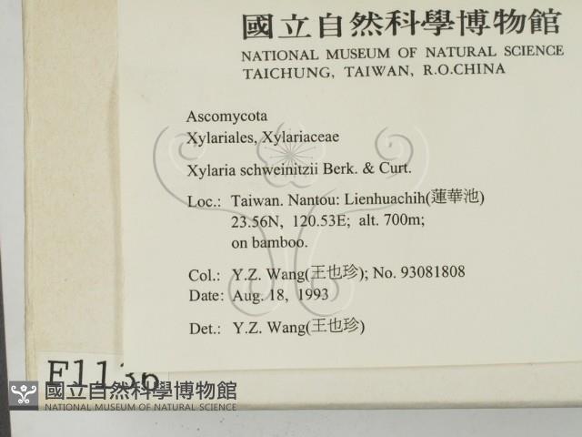 登錄號:F0001136藏品圖，第2張