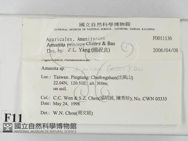 登錄號:F0011136藏品圖，第2張