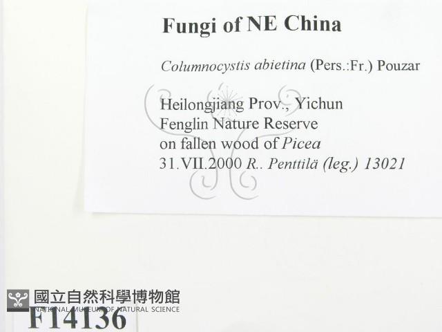 登錄號:F0014136藏品圖，第2張