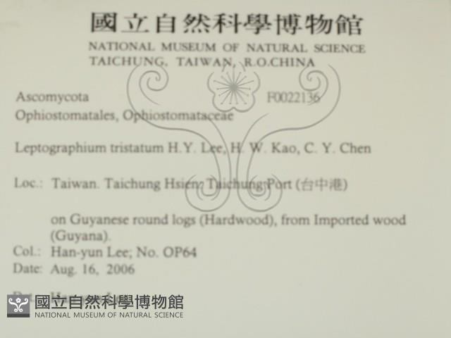 登錄號:F0022136藏品圖，第2張